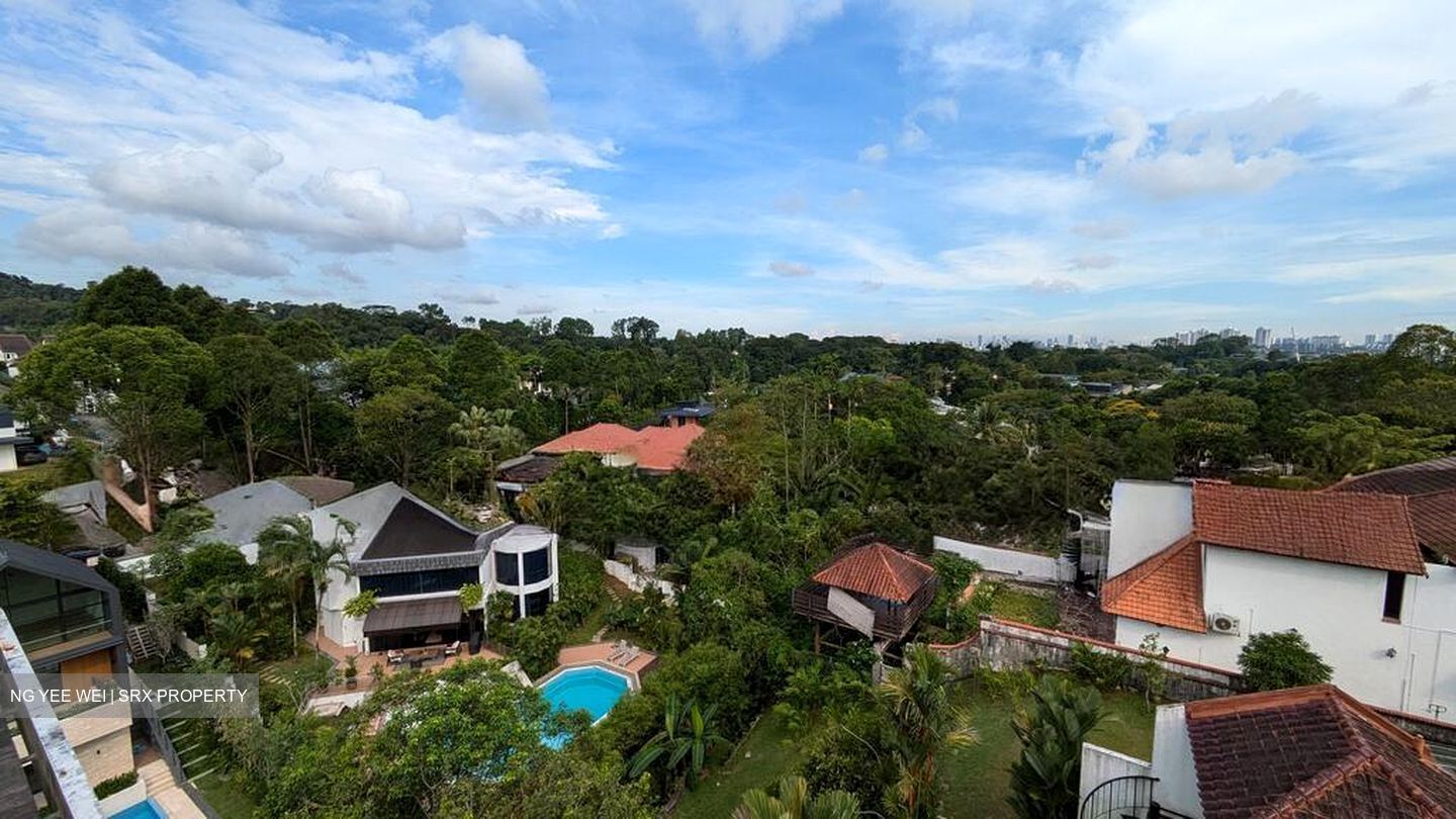 Bukit Timah Road (D21), Detached #553827501